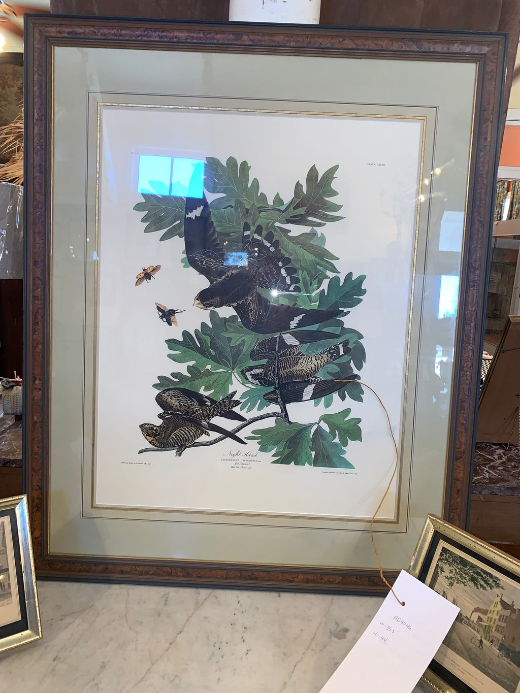 Amsterdam Edition Audobon Offset Lithograph Custom Framed  c.1971